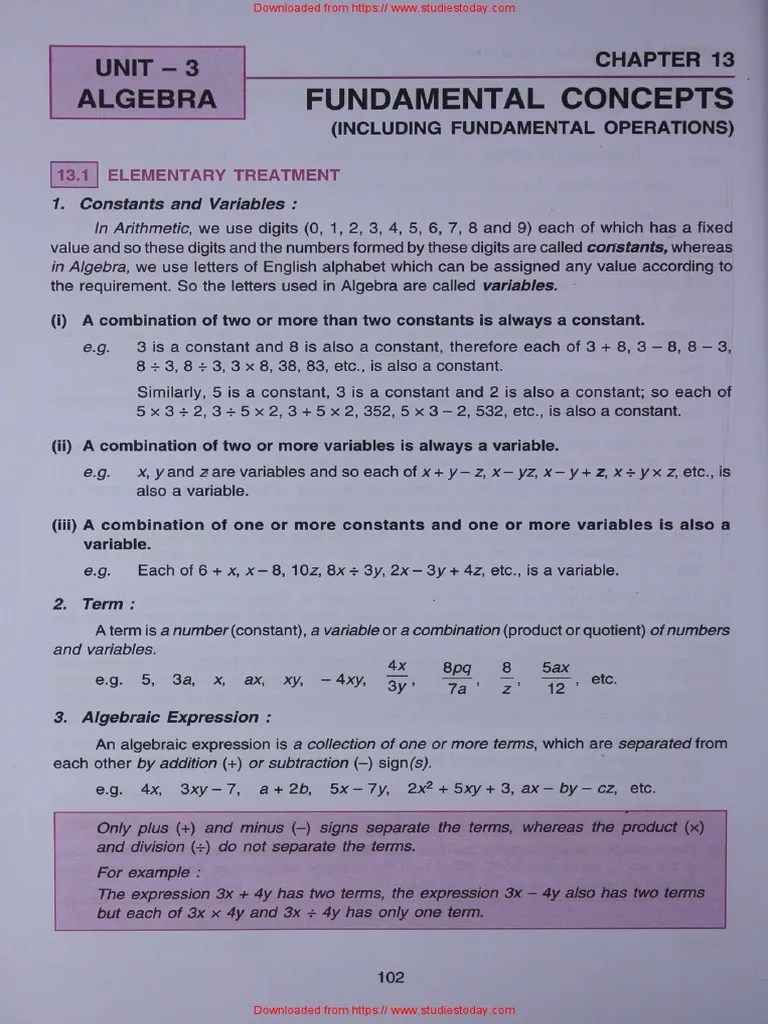 ICSE Class 7 Maths Chapter 13 Fundamental Concepts PDF