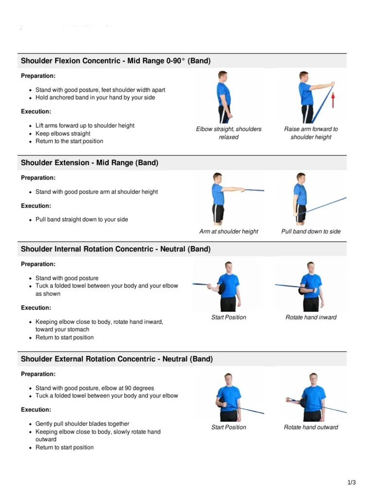 Shoulder Exercises PDF