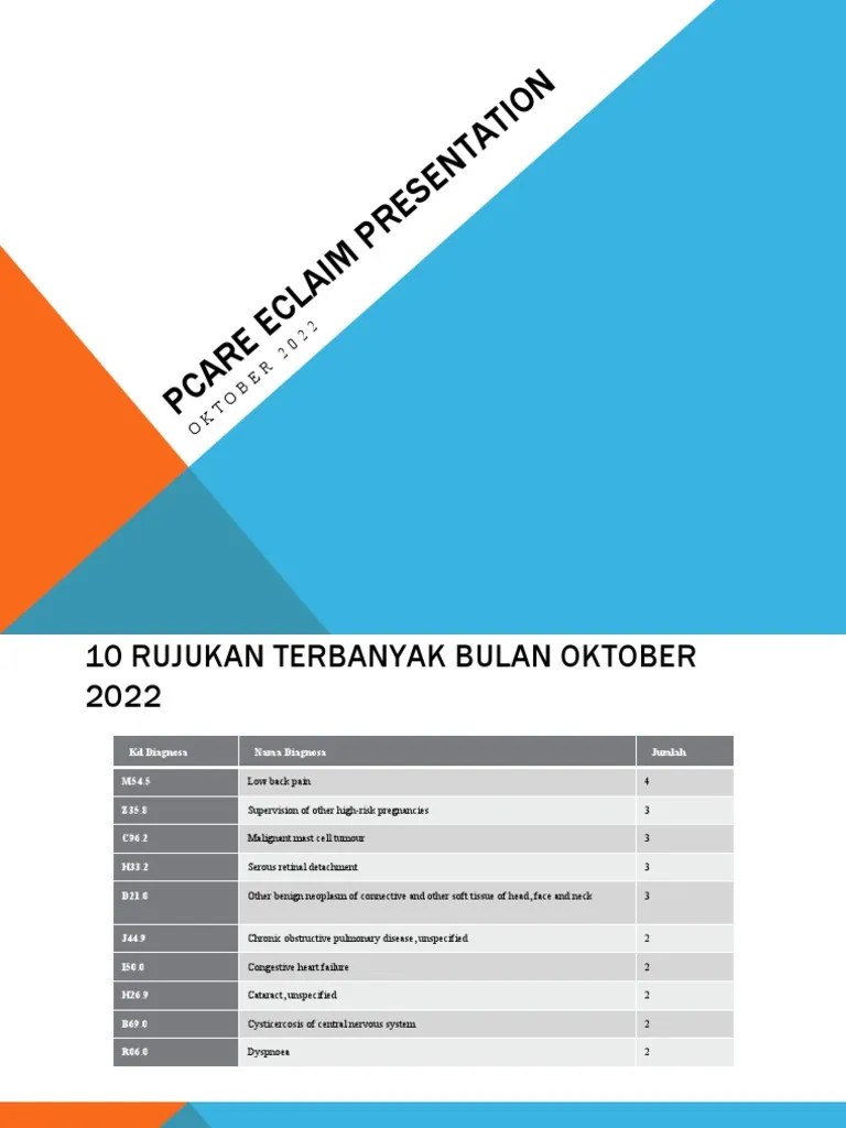 Pcare Eclaim Presentation PDF(04)