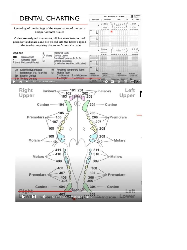 Dental Prophylaxis PDF