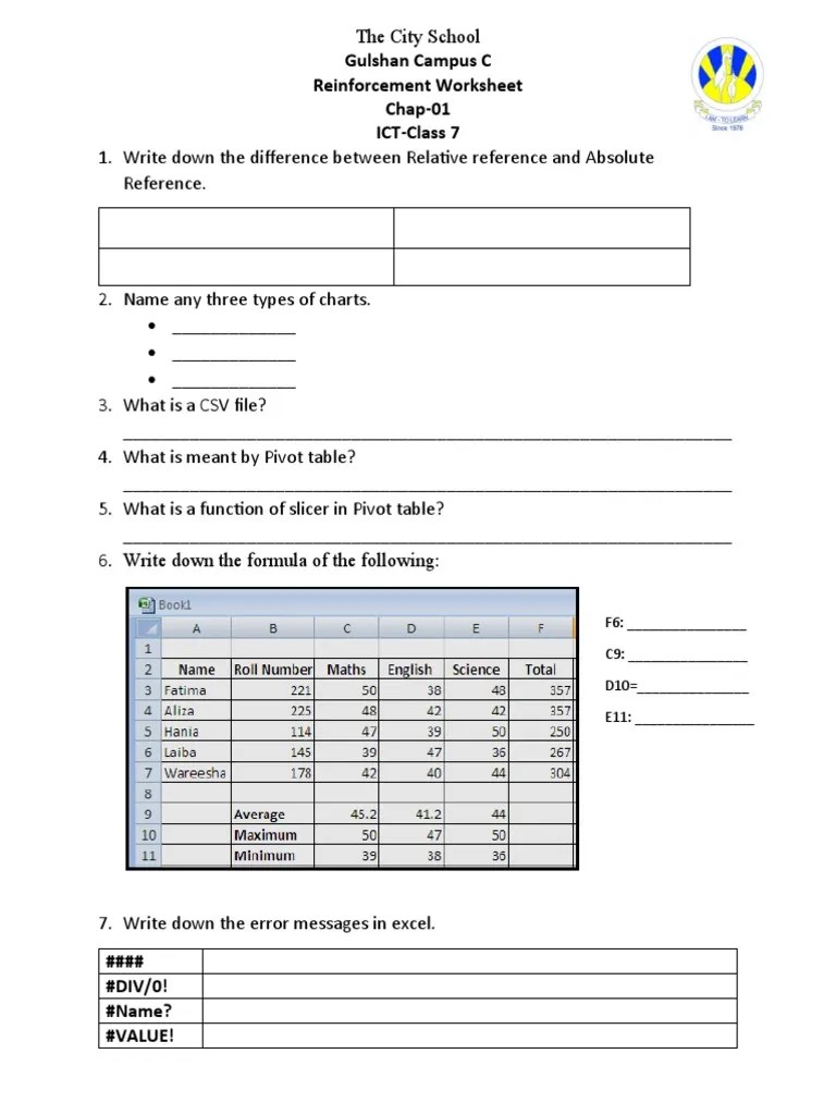 Reinforcement Worksheet Chap 1 | PDF | Microsoft Excel | Data Management