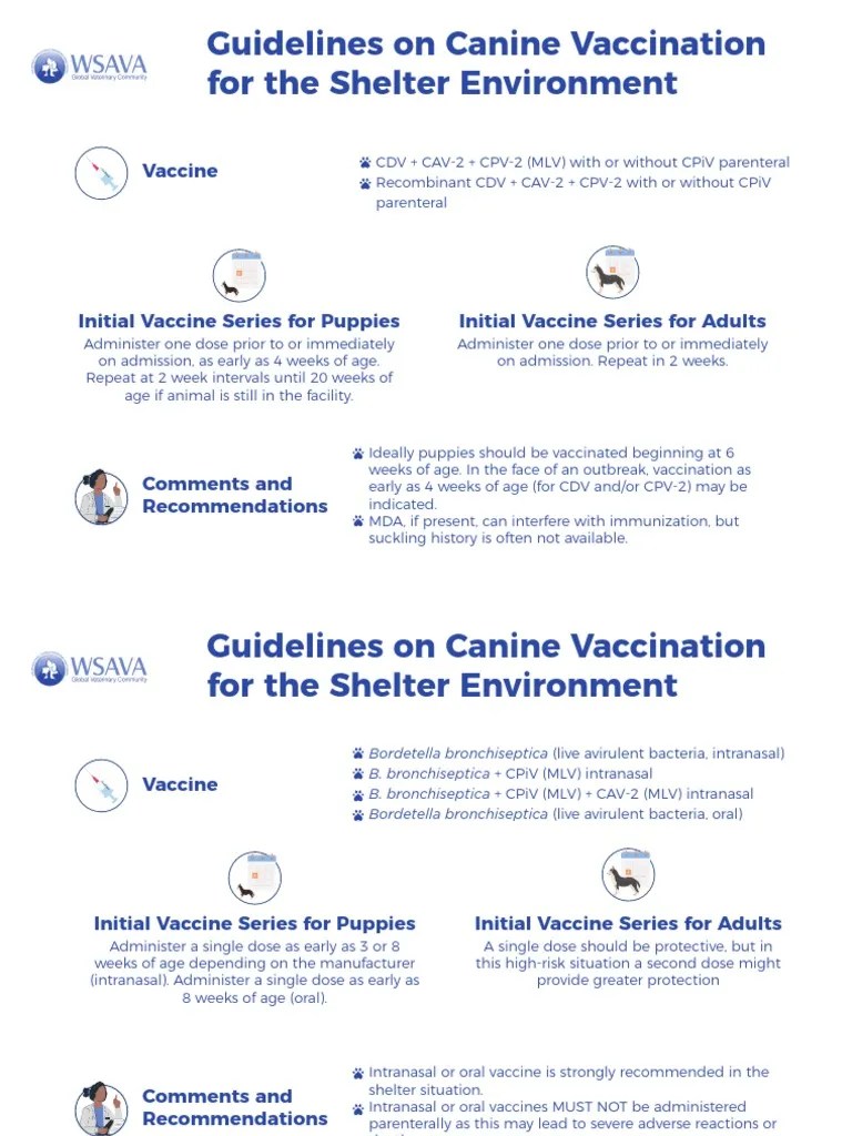 WSAVA Guidelines On Canine Vaccination For The Shelter Environment