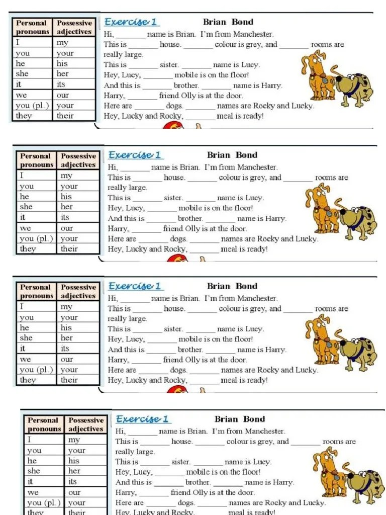 Possessive Adjective 1 | PDF