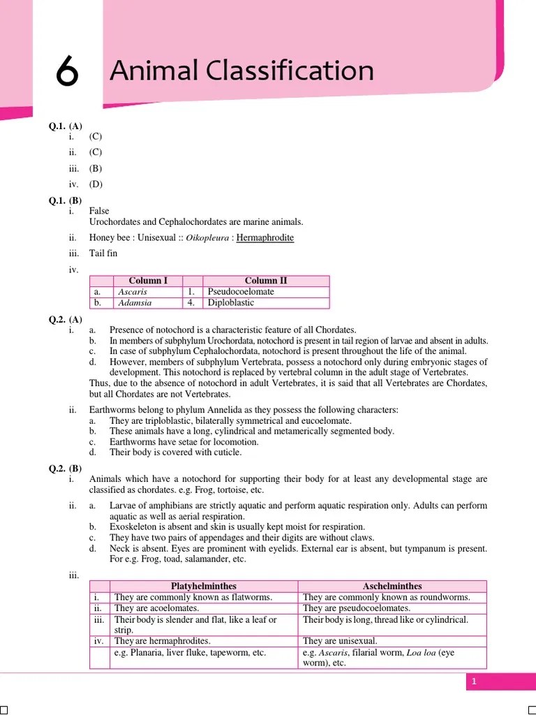 Animal Classification Chapter Assessment Science and Technology Part 2