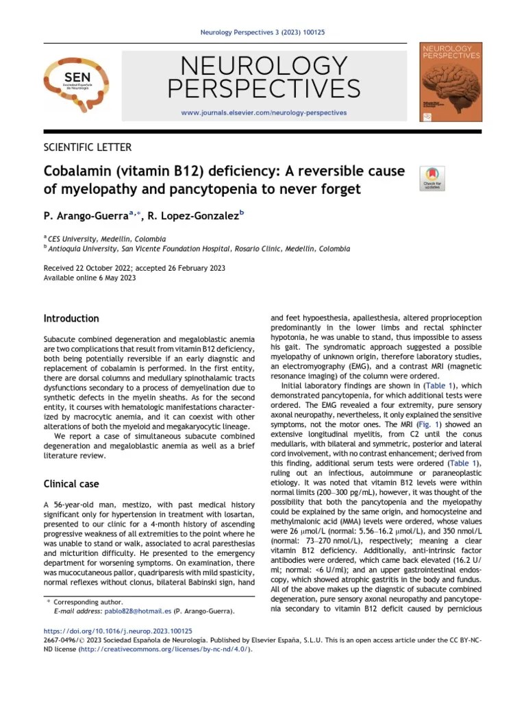 Neurology Perspectives PDF Vitamin B12 Peripheral Neuropathy