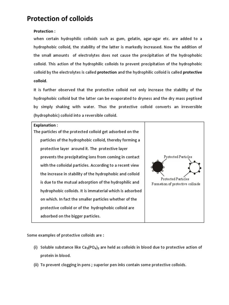 Protective Colloids and Uses of Colloids PDF Colloid Adsorption