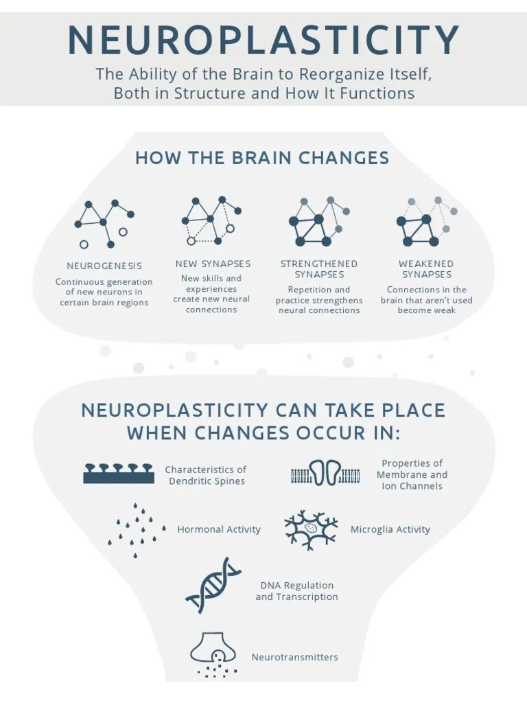 Neuroplasticity Changing The Brain Infograph Pdf Neuroplasticity
