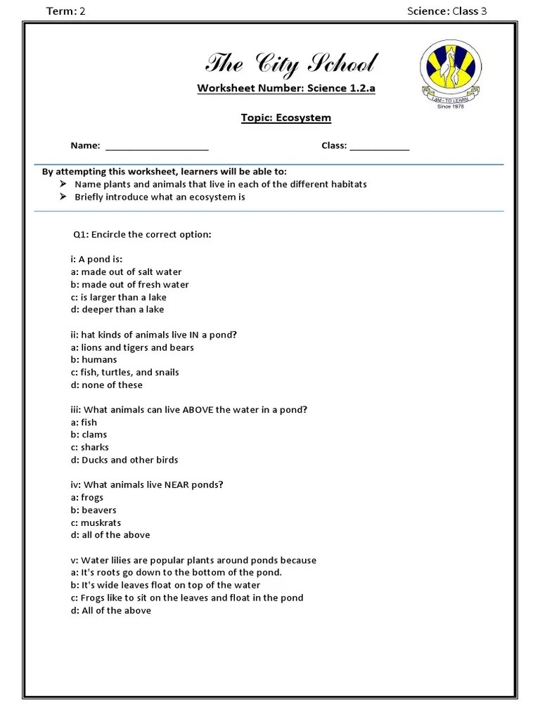 Worksheet 1.2.a | PDF