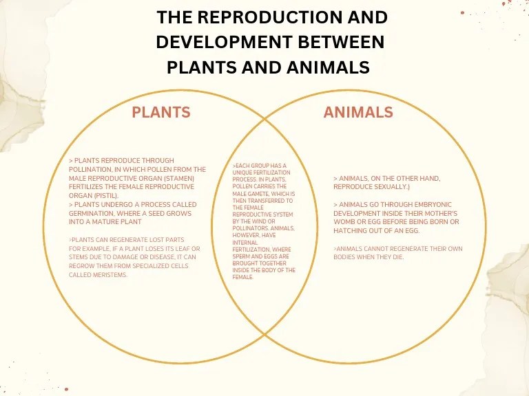 Modern Venn Diagram Plant and Animals | PDF