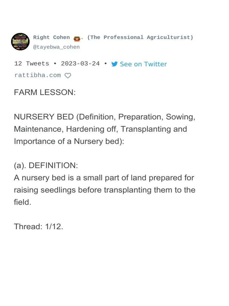 Farm Lesson Nursery Bed (Definition, Thread by Tayebwa
