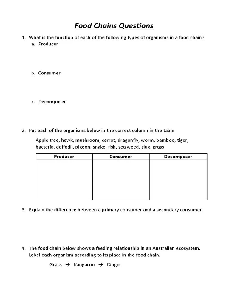 3 Food Chains Questions (Printout Version) PDF