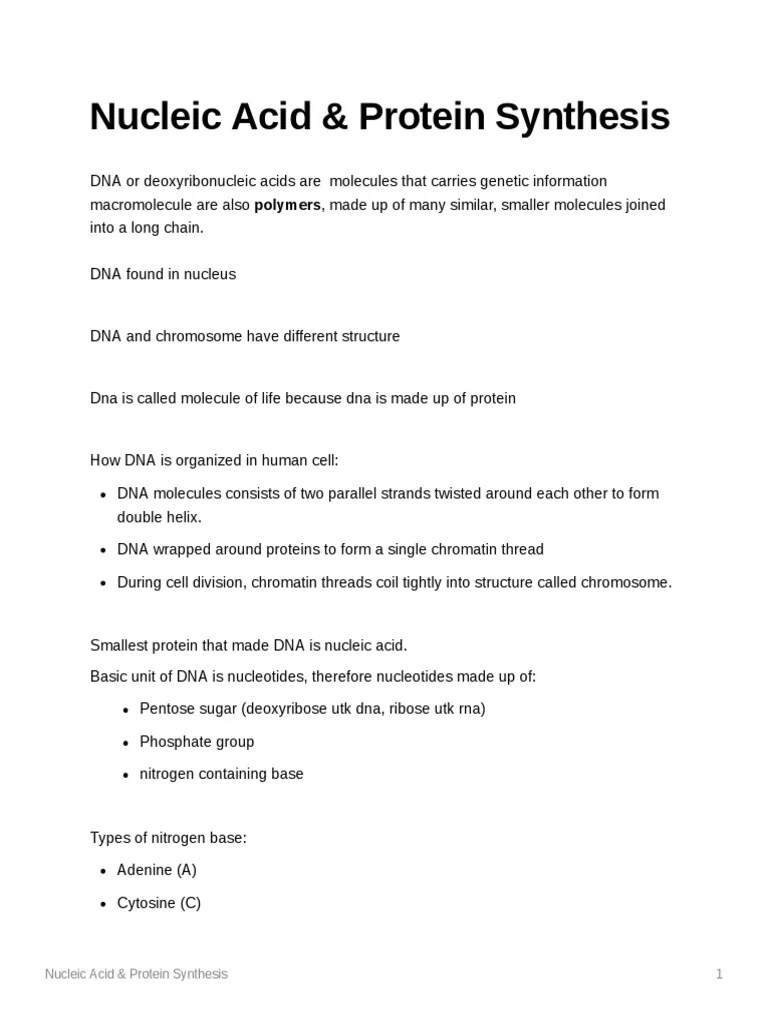 Nucleic Acid and Protein Synthesis PDF
