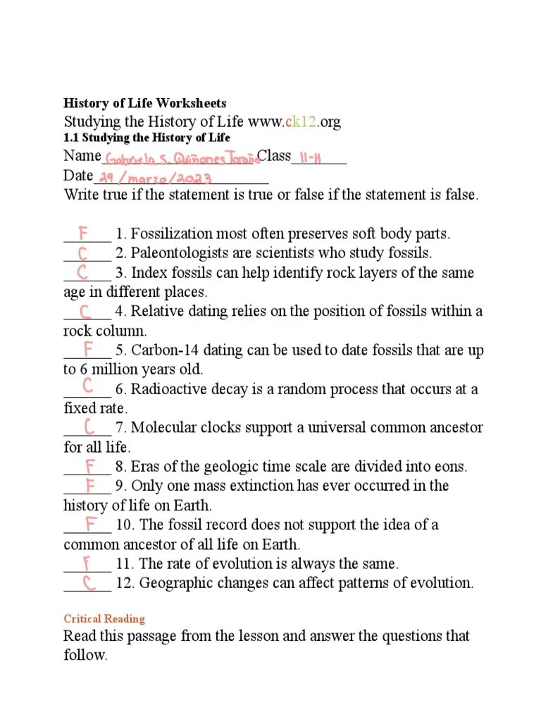 History of Life Worksheets PDF Geologic Time Scale Earth