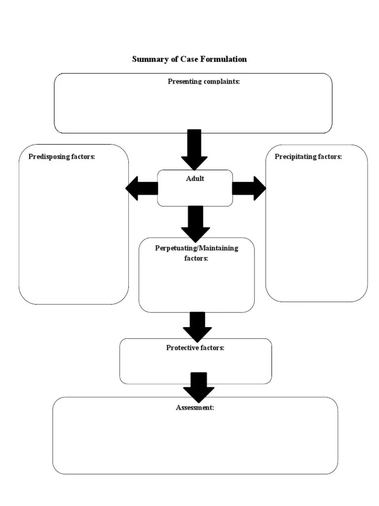 Summary of Case Formulation Chart PDF