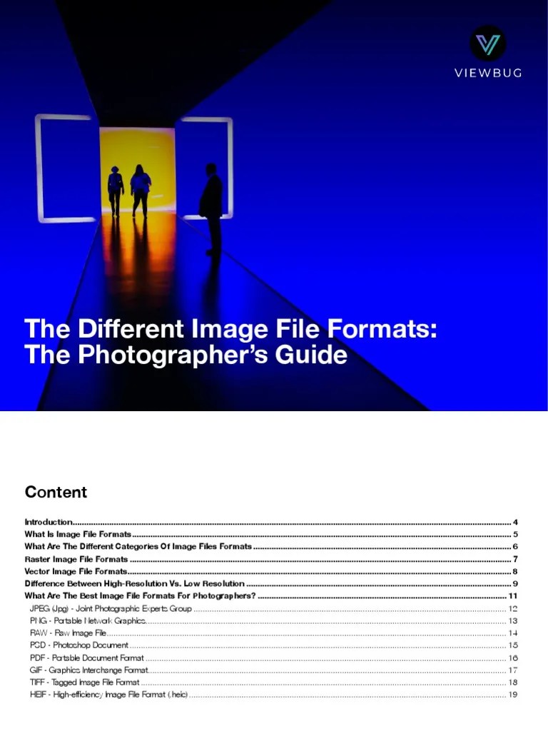 The Different Image File Formats The Photographer's Guide PDF Raw