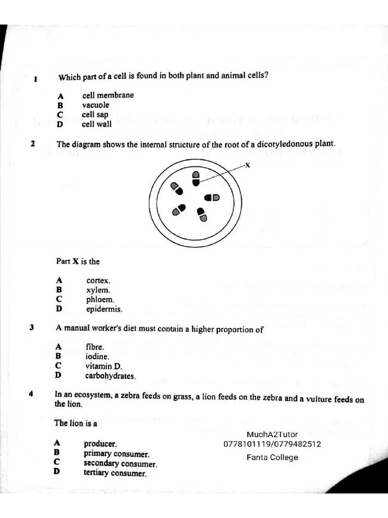 Bs Revision Zimsec Questions and Answers PDF