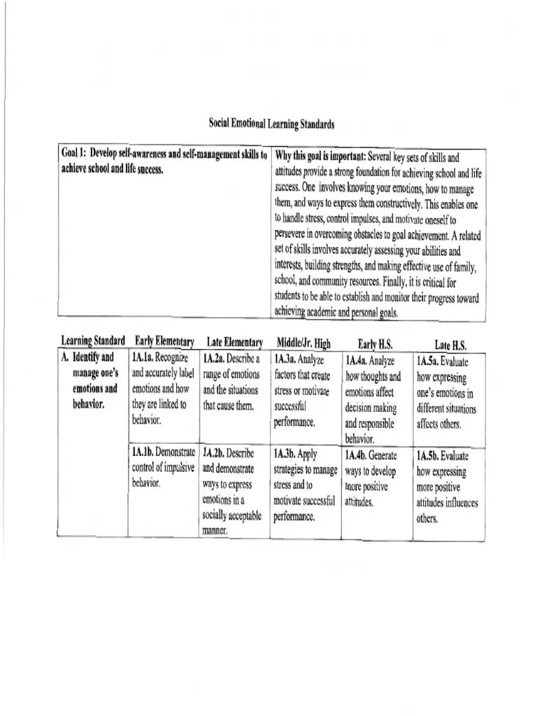 SEL Standards PDF