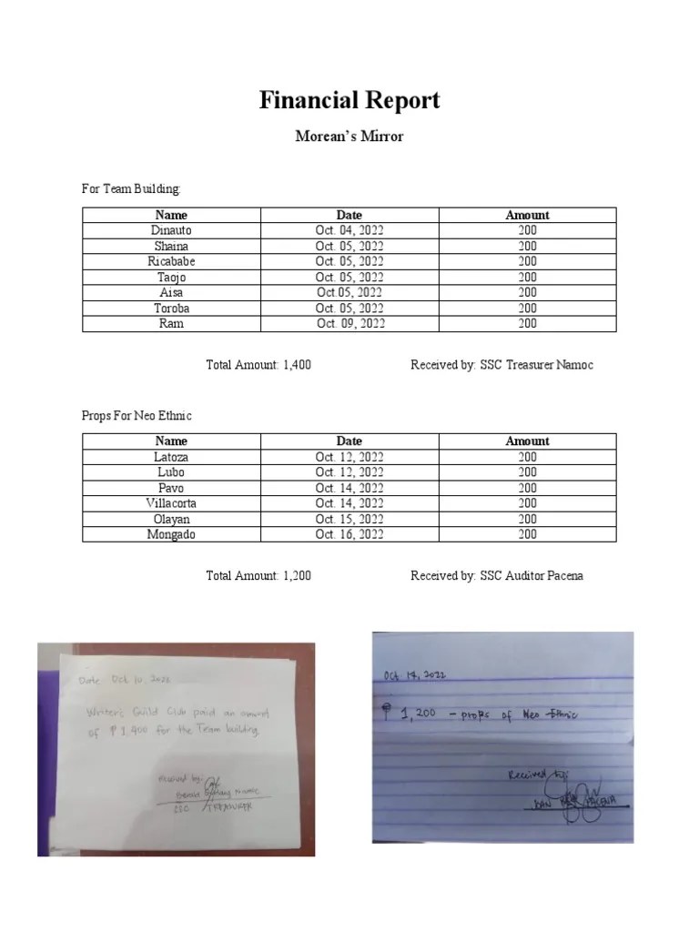 The Moreans Mirror Financial Report PDF