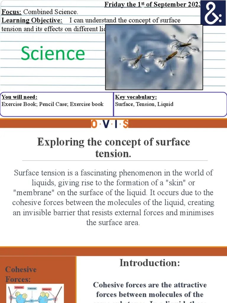 Explore The Concept of Surface Tension and Its Effects On Different