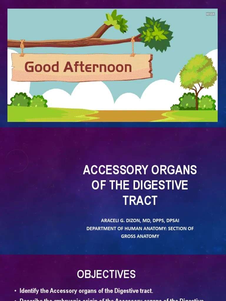 Accessory Organs of The Git Gross Anatomy Download Free PDF
