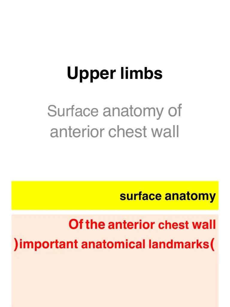 Upper Limb 2 Chest Landmarks PDF PDF