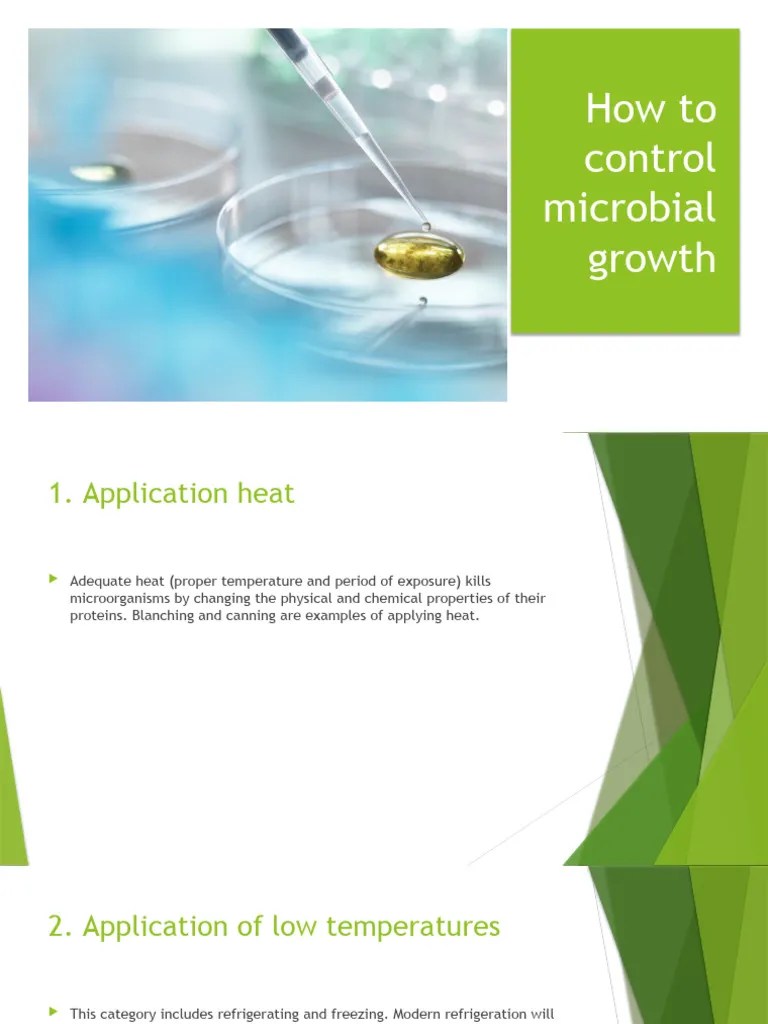 How to Control Microbial Growth PDF