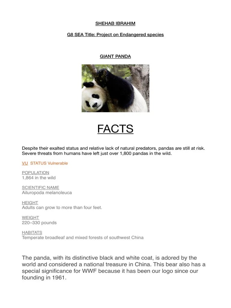Blank 5 PDF Giant Panda Poaching