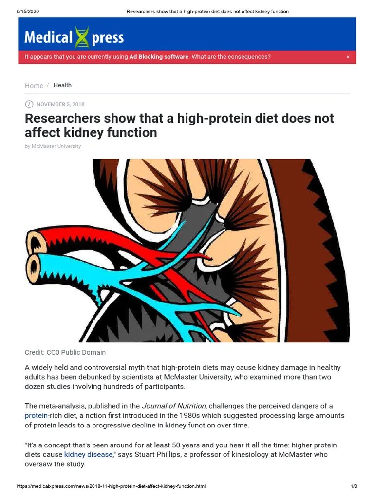 Researchers Show That A HighProtein Diet Does Not Affect Kidney