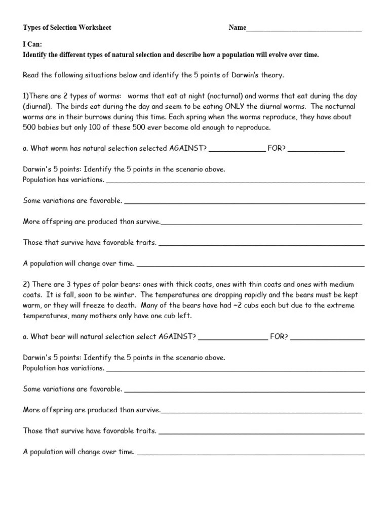Types of Selection Worksheet PDF Natural Selection Bears
