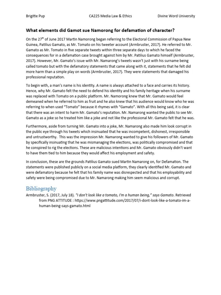 Defamation Essay PDF