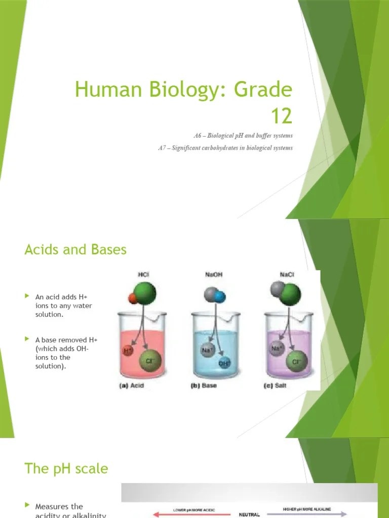 Human Biology Grade 12 A6 Biological PH and Buffer Systems A7