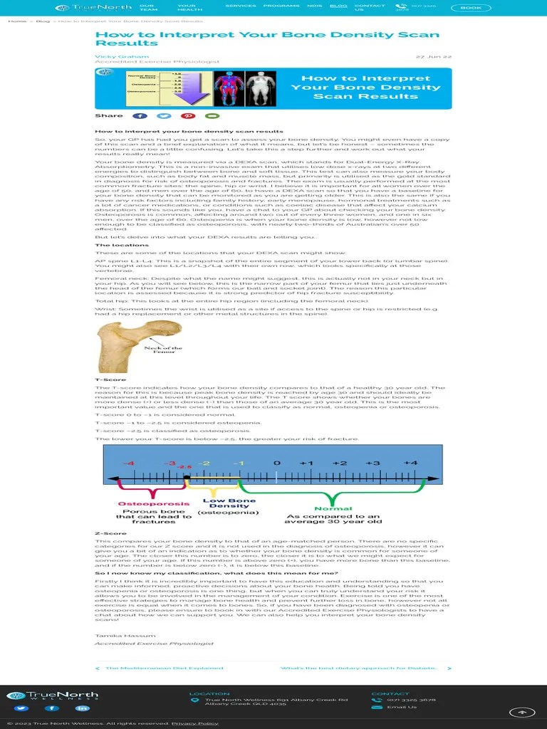 How To Interpret Your Bone Density Scan Results True North Wellness