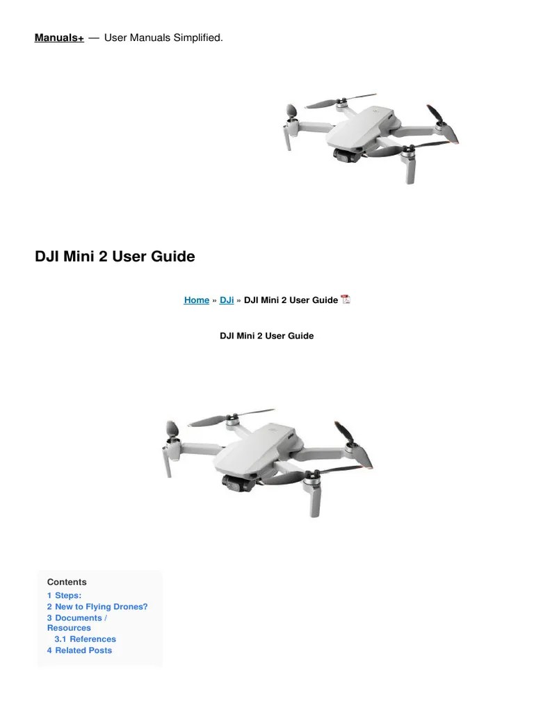DJI Mini 2 User Guide | PDF