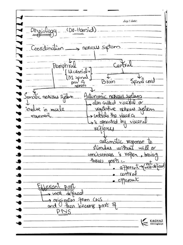 Autonomic Nervous System | PDF
