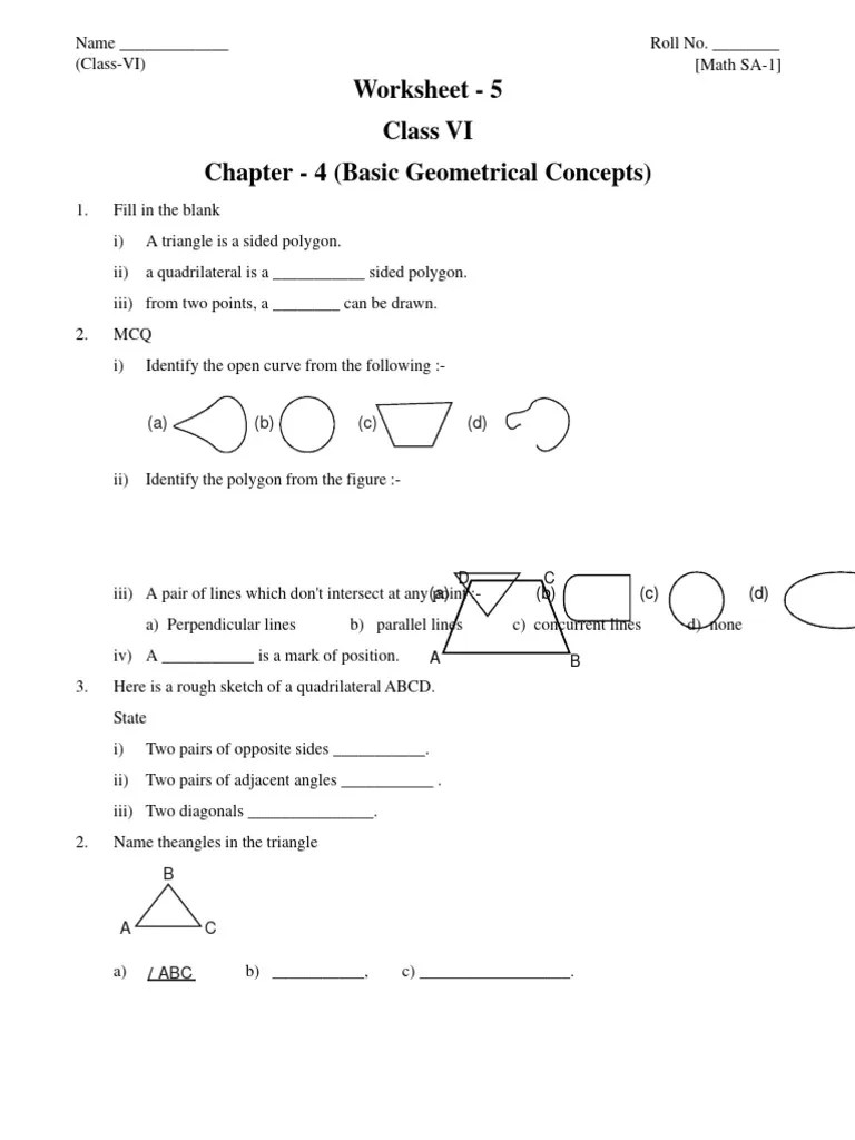 CBSE Class 6 Basic Geometrical Concepts Worksheet PDF