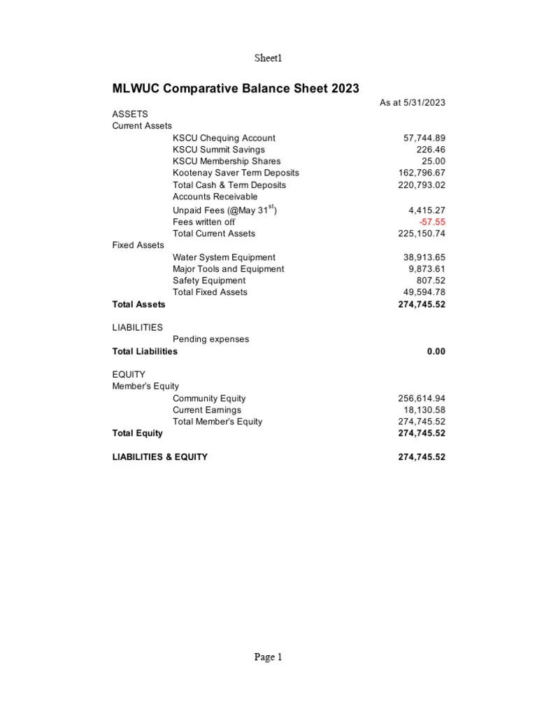 Balance Sheet 2023 Final PDF