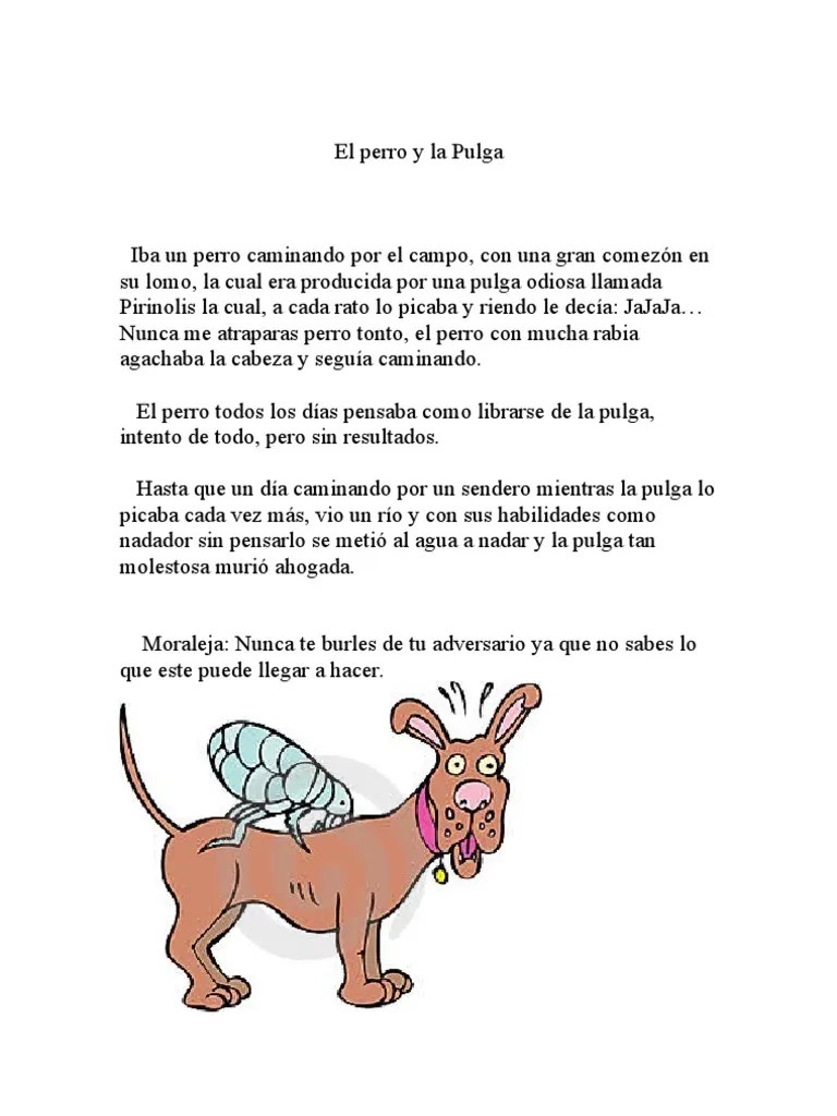 El Perro y La Pulga PDF