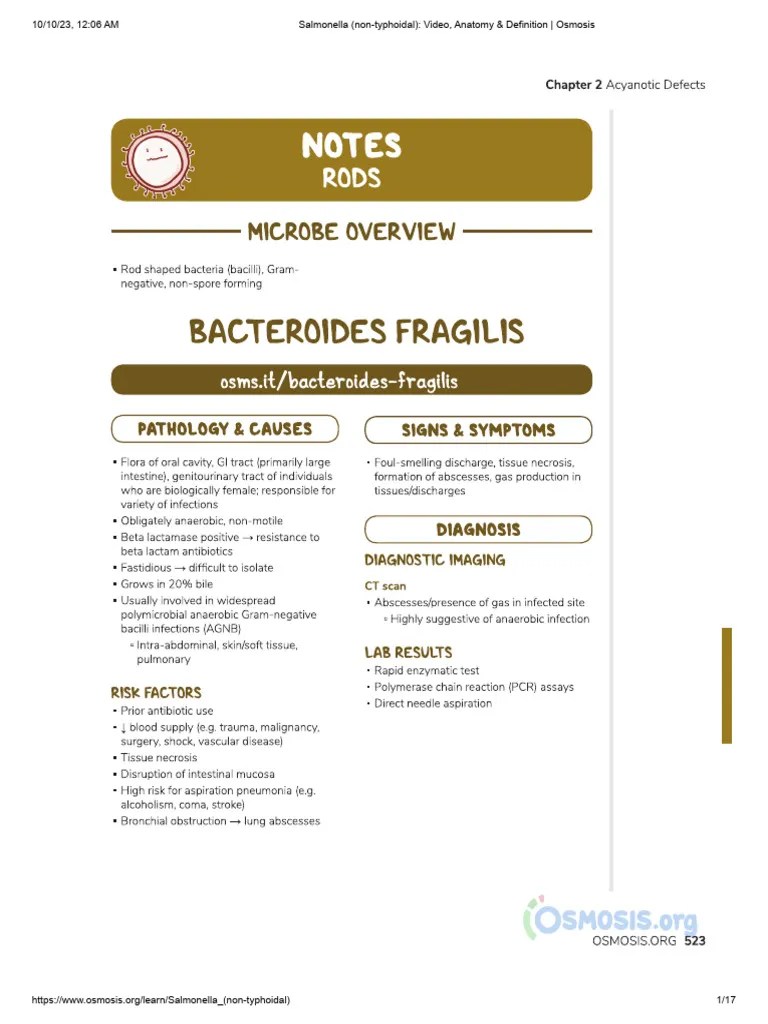 Salmonella (NonTyphoidal) Video, Anatomy & Definition Osmosis PDF