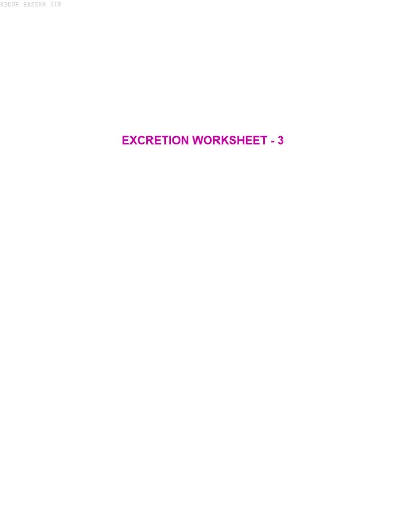 Excretion Worksheet 3 PDF Kidney Endocrine System