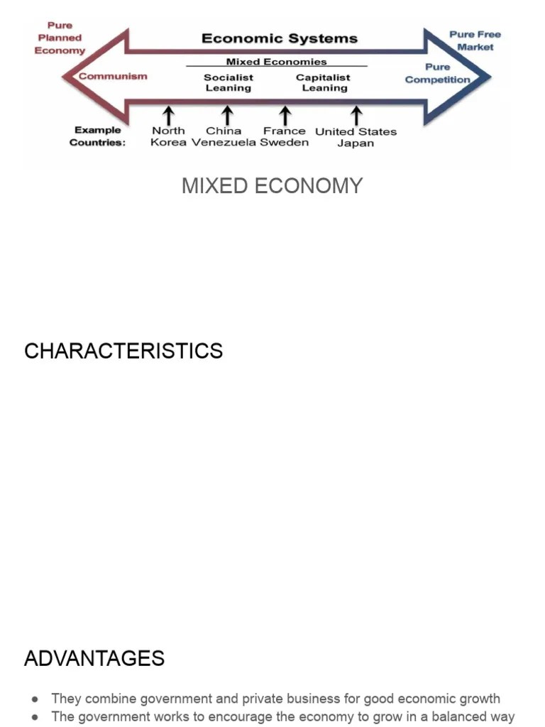 Mixed Economic System PDF