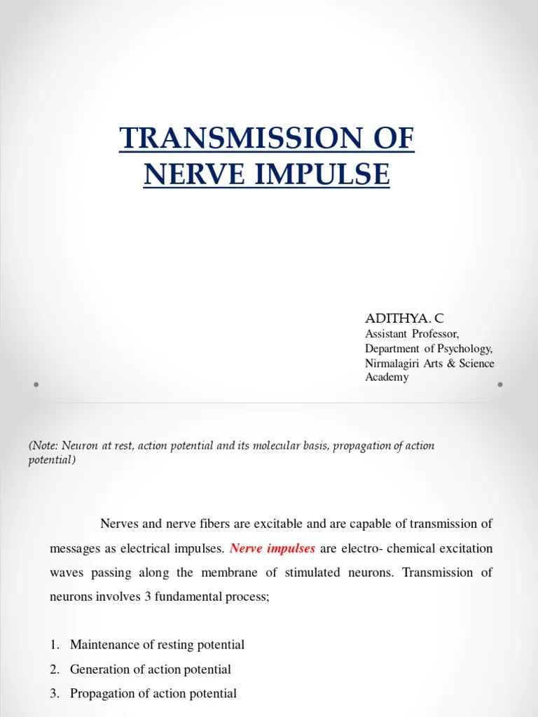 Transmission of Nerve Impulses | PDF