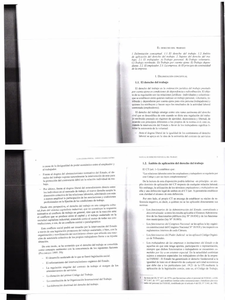 Delimitación Conceptual y Sujetos Del D° Del Trabajo PDF Derecho