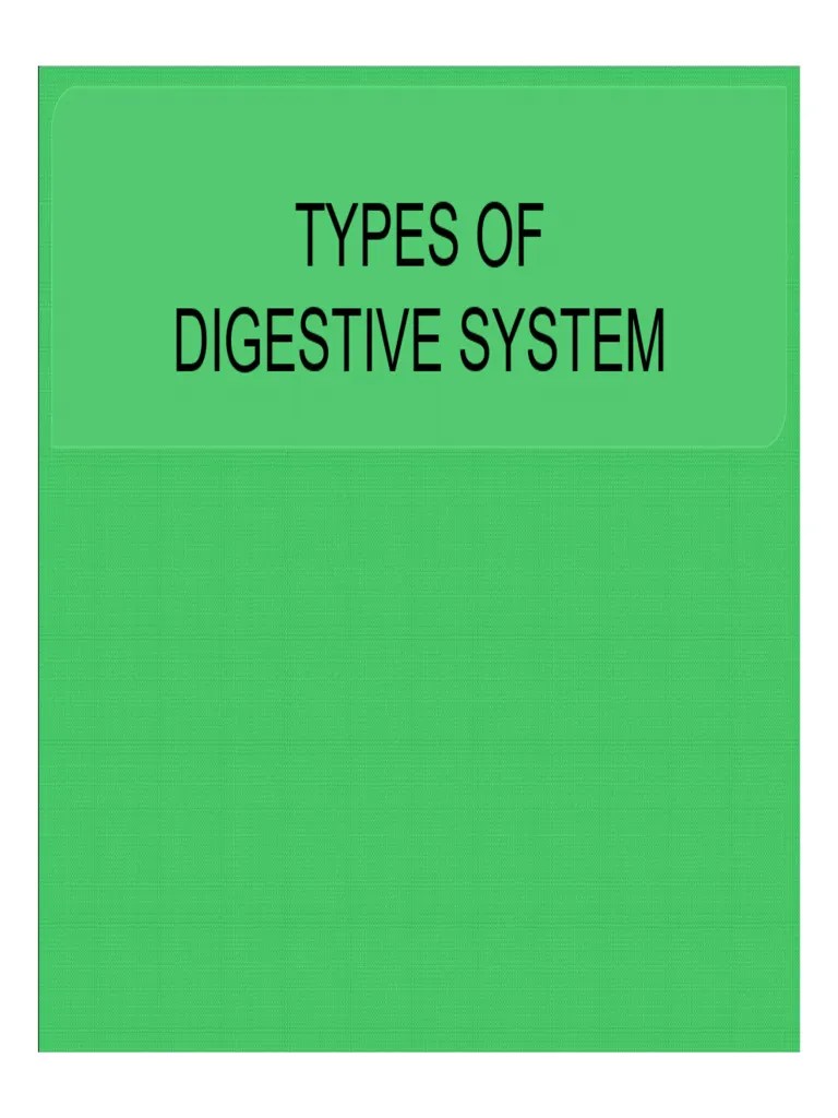 Types of Digestive System PDF