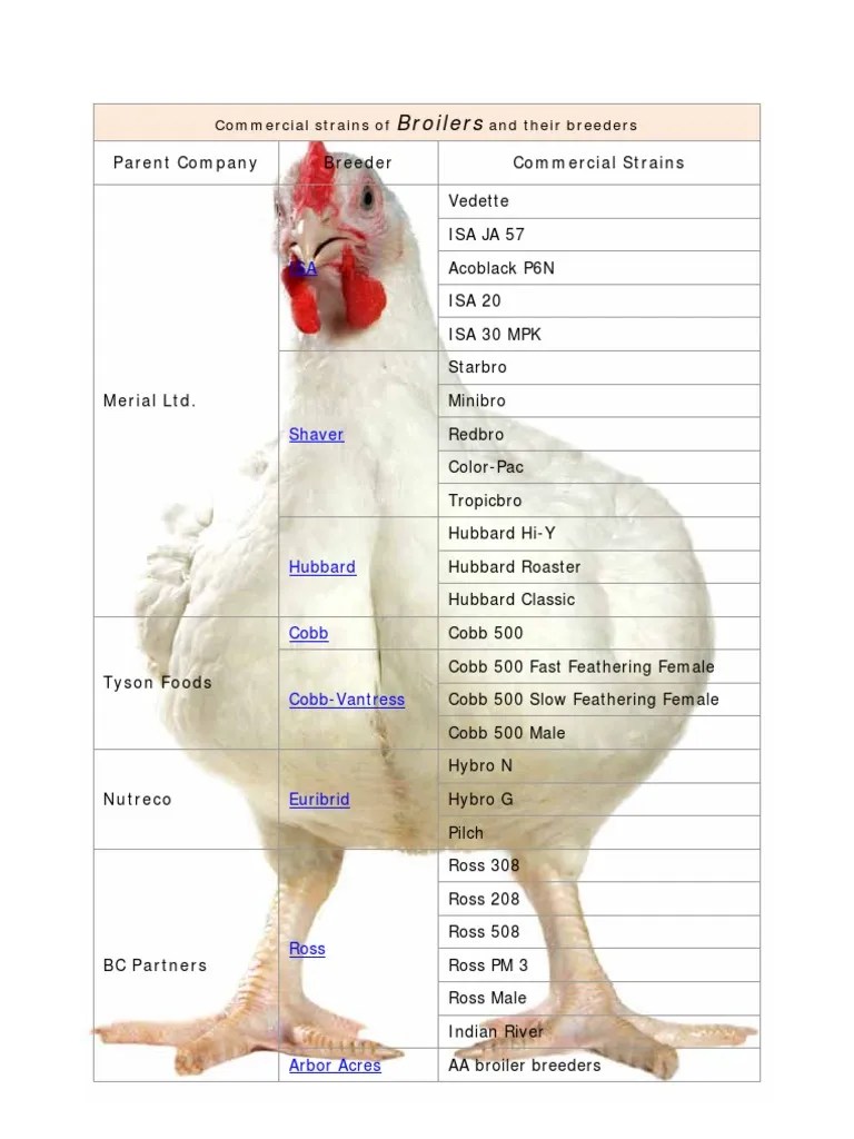 Breed of Poultry