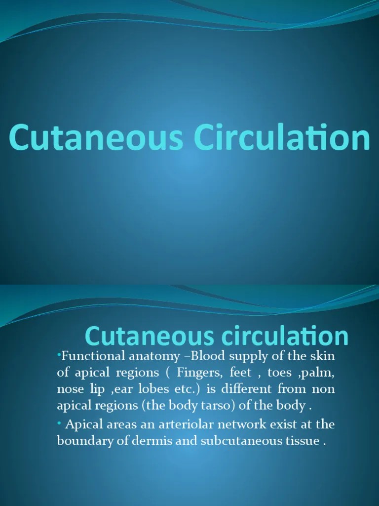 Cutaneous Circulation PDF Vasodilation Skin