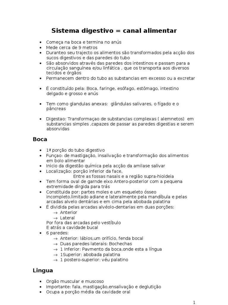 aparelho digestivo apontamentos 1