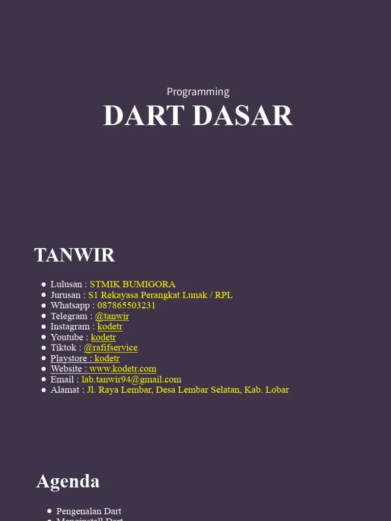 Basic Dart Program PDF