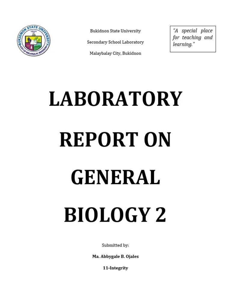 Lab Report PDF