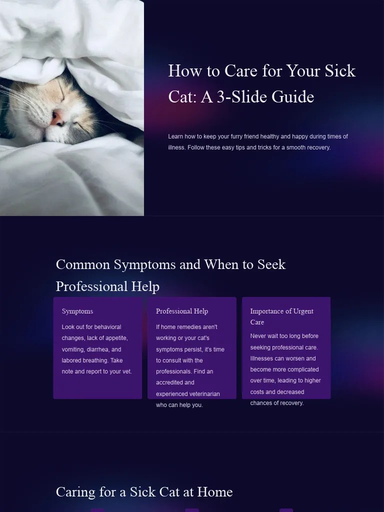 How to Care for Your Sick Cat a 3 Slide Guide PDF