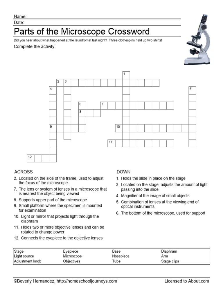 Microscope Crossword PDF